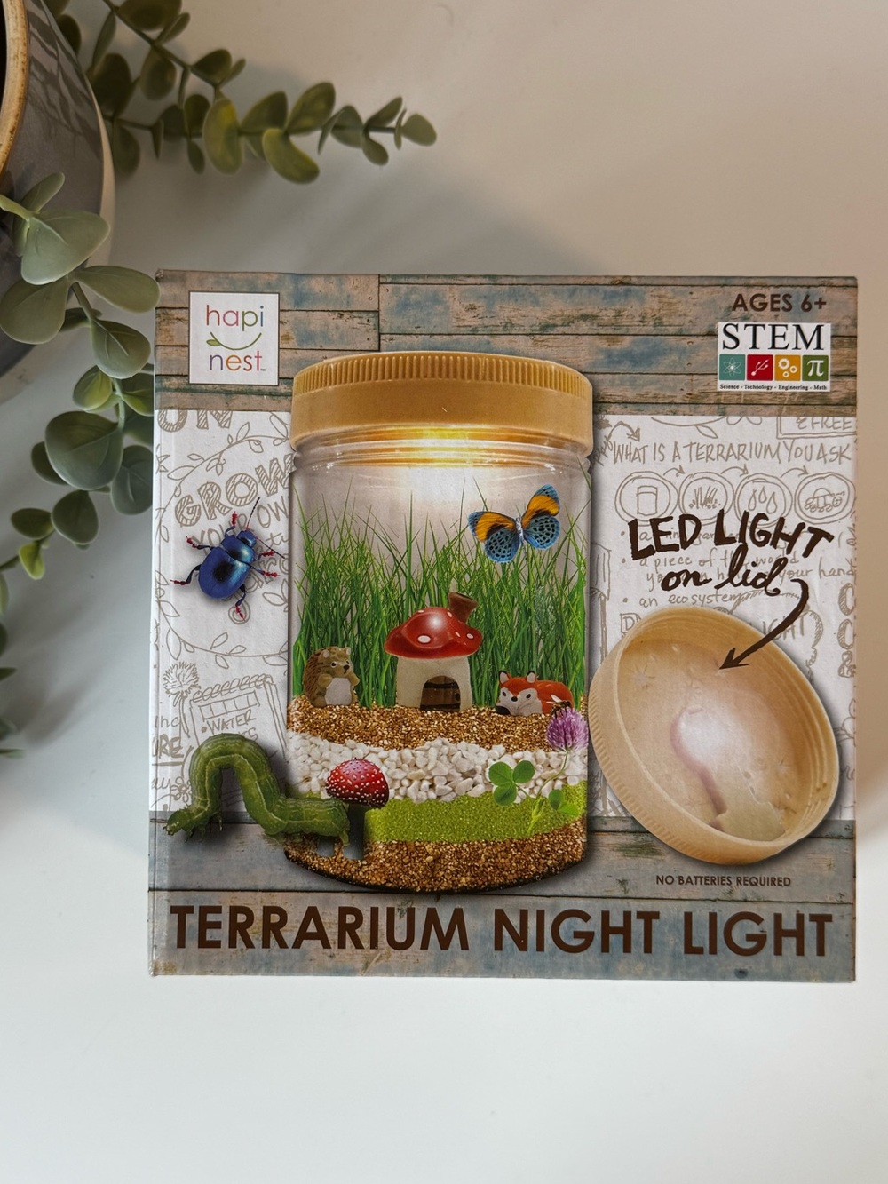 Hapi Nest Terrarium Night Light STEM Kit for Kids Craft New and Sealed